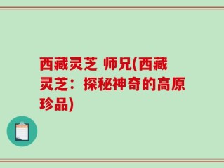 西藏灵芝 师兄(西藏灵芝：探秘神奇的高原珍品)