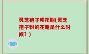 灵芝孢子粉花期(灵芝孢子粉的花期是什么时候？)