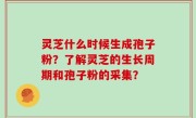 灵芝什么时候生成孢子粉？了解灵芝的生长周期和孢子粉的采集？