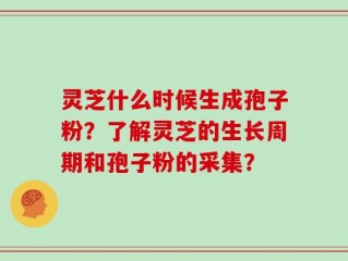 灵芝什么时候生成孢子粉？了解灵芝的生长周期和孢子粉的采集？