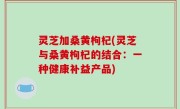 灵芝加桑黄枸杞(灵芝与桑黄枸杞的结合：一种健康补益产品)