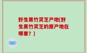 野生黑竹灵芝产地(野生黑竹灵芝的原产地在哪里？)