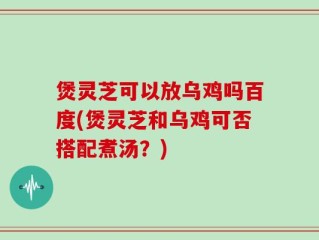 煲灵芝可以放乌鸡吗百度(煲灵芝和乌鸡可否搭配煮汤？)