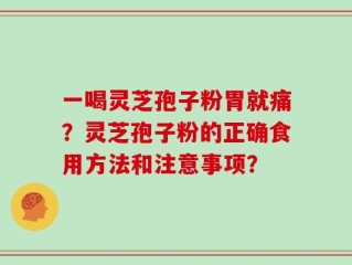 一喝灵芝孢子粉胃就痛？灵芝孢子粉的正确食用方法和注意事项？