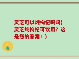 灵芝可以炖枸杞喝吗(灵芝炖枸杞可饮用？这是您的答案！)
