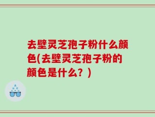 去壁灵芝孢子粉什么颜色(去壁灵芝孢子粉的颜色是什么？)