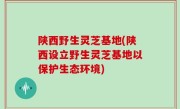陕西野生灵芝基地(陕西设立野生灵芝基地以保护生态环境)