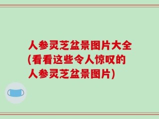 人参灵芝盆景图片大全(看看这些令人惊叹的人参灵芝盆景图片)
