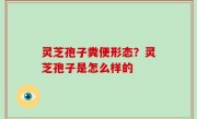 灵芝孢子粪便形态？灵芝孢子是怎么样的