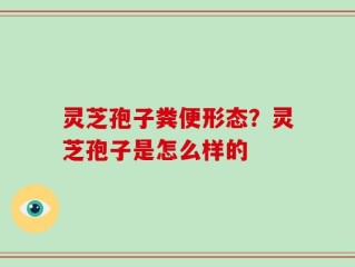 灵芝孢子粪便形态？灵芝孢子是怎么样的