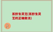 蒸野生灵芝(蒸野生灵芝的正确做法)