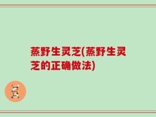 蒸野生灵芝(蒸野生灵芝的正确做法)