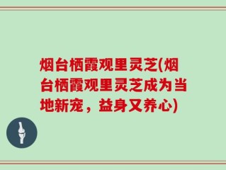 烟台栖霞观里灵芝(烟台栖霞观里灵芝成为当地新宠，益身又养心)