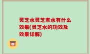 灵芝水灵芝煮水有什么效果(灵芝水的功效及效果详解)