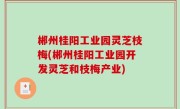 郴州桂阳工业园灵芝枝梅(郴州桂阳工业园开发灵芝和枝梅产业)