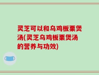 灵芝可以和乌鸡板栗煲汤(灵芝乌鸡板栗煲汤的营养与功效)