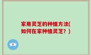 家用灵芝的种植方法(如何在家种植灵芝？)
