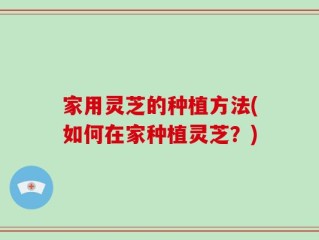 家用灵芝的种植方法(如何在家种植灵芝？)