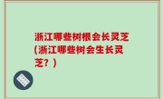 浙江哪些树根会长灵芝(浙江哪些树会生长灵芝？)
