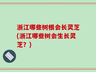 浙江哪些树根会长灵芝(浙江哪些树会生长灵芝？)