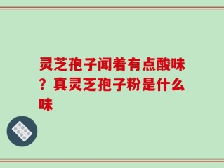 灵芝孢子闻着有点酸味？真灵芝孢子粉是什么味
