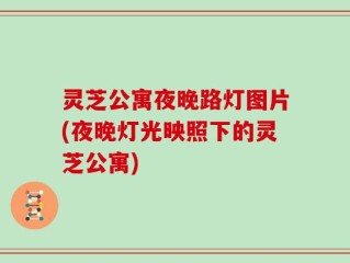 灵芝公寓夜晚路灯图片(夜晚灯光映照下的灵芝公寓)