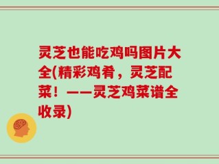 灵芝也能吃鸡吗图片大全(精彩鸡肴，灵芝配菜！——灵芝鸡菜谱全收录)
