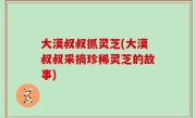 大漠叔叔抓灵芝(大漠叔叔采摘珍稀灵芝的故事)