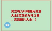灵芝有九叶吗图片高清大全(灵芝的九叶之美，高清图片大全！)