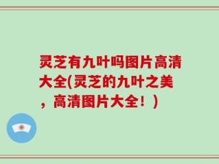 灵芝有九叶吗图片高清大全(灵芝的九叶之美，高清图片大全！)