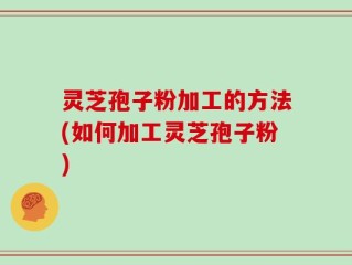 灵芝孢子粉加工的方法(如何加工灵芝孢子粉)