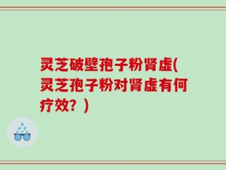 灵芝破壁孢子粉肾虚(灵芝孢子粉对肾虚有何疗效？)