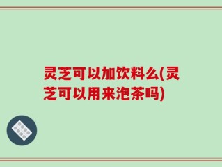 灵芝可以加饮料么(灵芝可以用来泡茶吗)