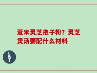 薏米灵芝孢子粉？灵芝煲汤要配什么材料