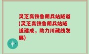 灵芝高铁鲁朗兵站隧道(灵芝高铁鲁朗兵站隧道建成，助力川藏线发展)
