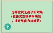 芝神堂灵芝孢子粉效果(直击灵芝孢子粉功效，提升免疫力抗疲劳)