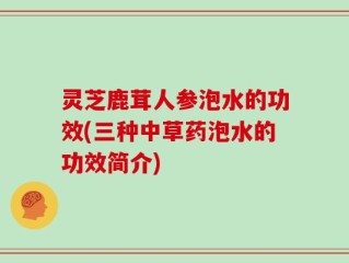 灵芝鹿茸人参泡水的功效(三种中草药泡水的功效简介)