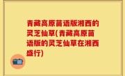 青藏高原苗语版湘西的灵芝仙草(青藏高原苗语版的灵芝仙草在湘西盛行)