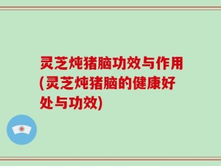 灵芝炖猪脑功效与作用(灵芝炖猪脑的健康好处与功效)