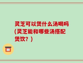 灵芝可以煲什么汤喝吗(灵芝能和哪些汤搭配煲饮？)