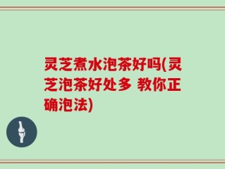 灵芝煮水泡茶好吗(灵芝泡茶好处多 教你正确泡法)
