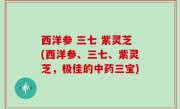 西洋参 三七 紫灵芝(西洋参、三七、紫灵芝，极佳的中药三宝)