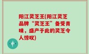 阳江灵芝王(阳江灵芝品牌“灵芝王”备受青睐，盛产于此的灵芝令人惊叹)