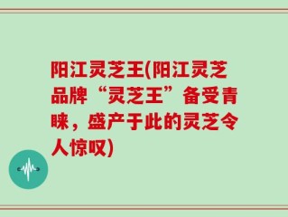 阳江灵芝王(阳江灵芝品牌“灵芝王”备受青睐，盛产于此的灵芝令人惊叹)