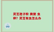 灵芝孢子粉 粪便 虫卵？灵芝有虫怎么办