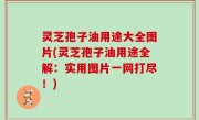 灵芝孢子油用途大全图片(灵芝孢子油用途全解：实用图片一网打尽！)