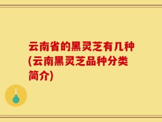 云南省的黑灵芝有几种(云南黑灵芝品种分类简介)