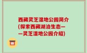西藏灵芝湿地公园简介(探索西藏湖泊生态——灵芝湿地公园介绍)