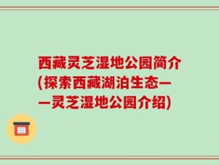 西藏灵芝湿地公园简介(探索西藏湖泊生态——灵芝湿地公园介绍)