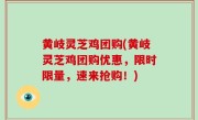 黄岐灵芝鸡团购(黄岐灵芝鸡团购优惠，限时限量，速来抢购！)